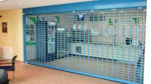 Решётчатые рольставни DoorHan с прозрачными вставками